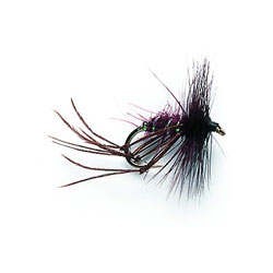 Dry Hoppers Claret
