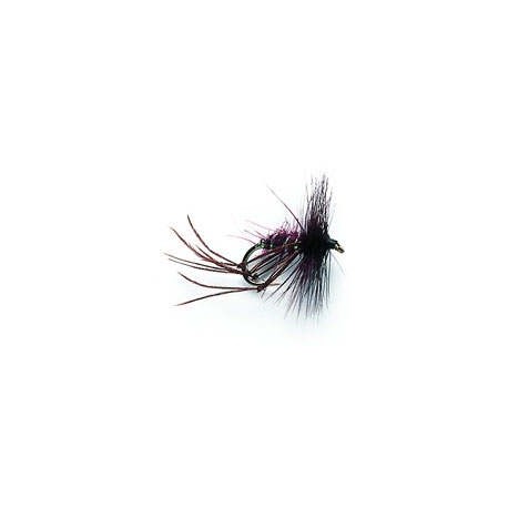 Dry Hoppers Claret