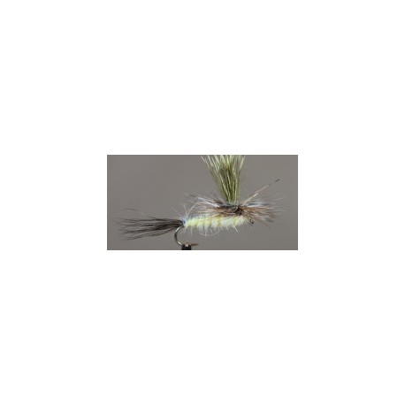 Eastern Green Drake Para
