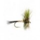 Eastern Green Drake