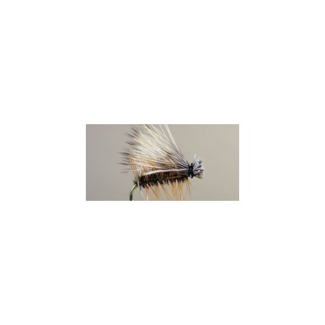 Elk Hair Caddis (Peacock)