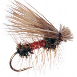 Elk Hair Caddis Royal Coachman