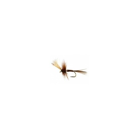 Elk Wing Mayfly