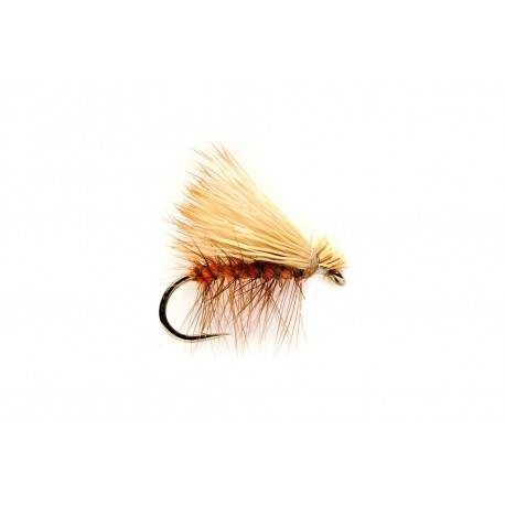 Elk Wing Orange