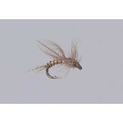 Emerger Bwo