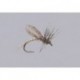Emerger Callibaetis