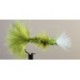 Emerger CDC Green Drake