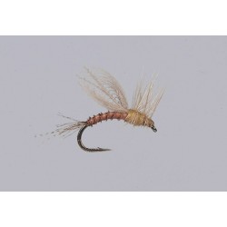 Emerger Pmd
