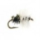 Emerging Pupa