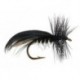 Europa Black