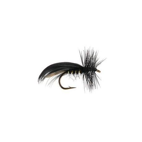 Europa Black