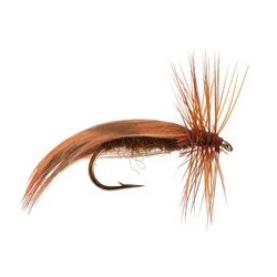 Europa Brown