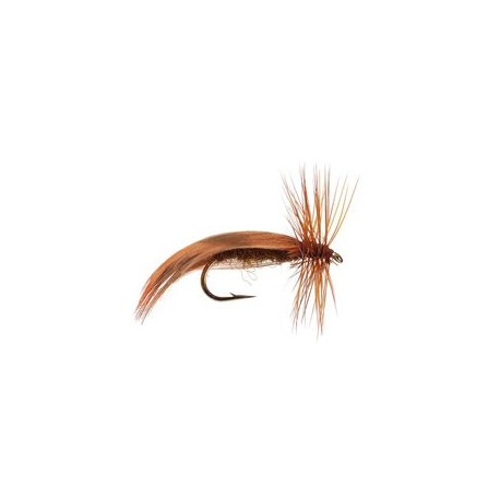 Europa Brown