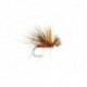 Fiery Drop Sedge