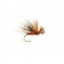 Fiery Drop Sedge