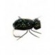 Flash Beetle