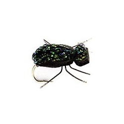 Flash Beetle
