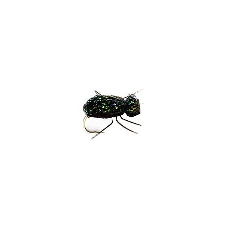 Flash Beetle