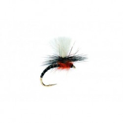 Flexi Black