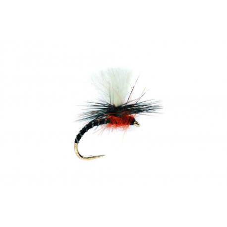 Flexi Black