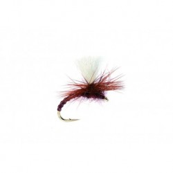 Flexi Claret