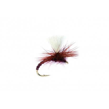Flexi Claret