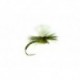 Flexi Olive