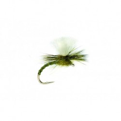 Flexi Olive