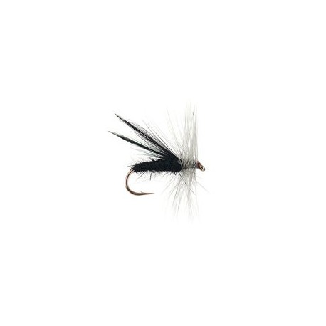 Fluttering Caddes Black