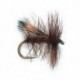 Fluttering Sedge