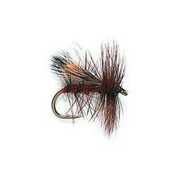 Fluttering Sedge