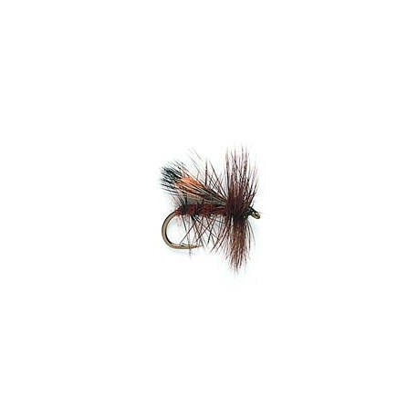 Fluttering Sedge