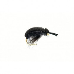 Foam Beetle (Carnhill's)