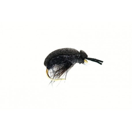 Foam Beetle (Carnhill's)