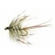 French Partridge Mayfly