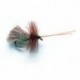 G & H Sedge