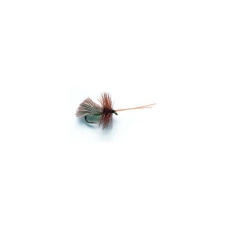 G & H Sedge