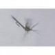 Galloups Green Drake Biot Cripple