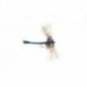 Gibson's Dragon Fly