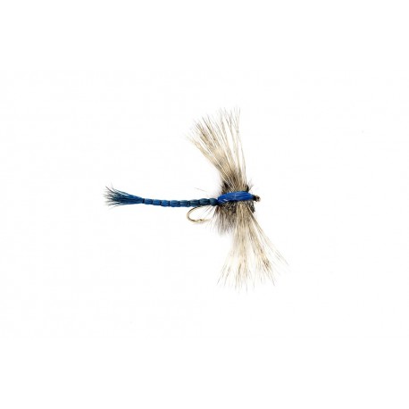 Gibson's Dragon Fly