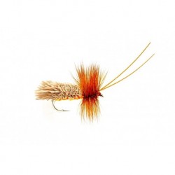 Goddard Amber