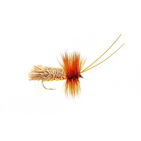Goddard Amber