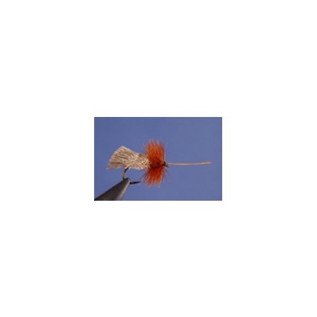 Goddard Caddis