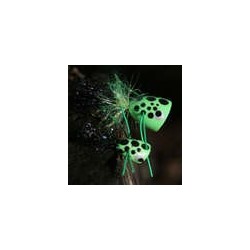 Flybass Poison Ivy Poppers