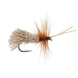 Goddards Caddis Green
