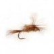 Gold Ribbed Hares Ear Para