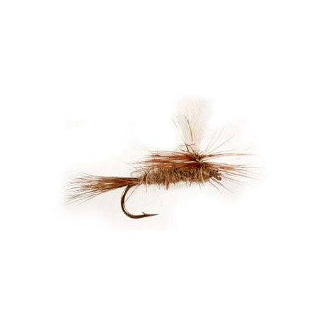 Gold Ribbed Hares Ear Para