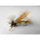 Golden Madame X Parachute