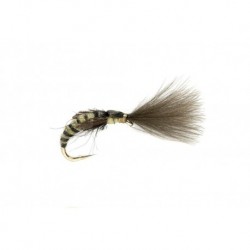 Grannom Emerger Olive