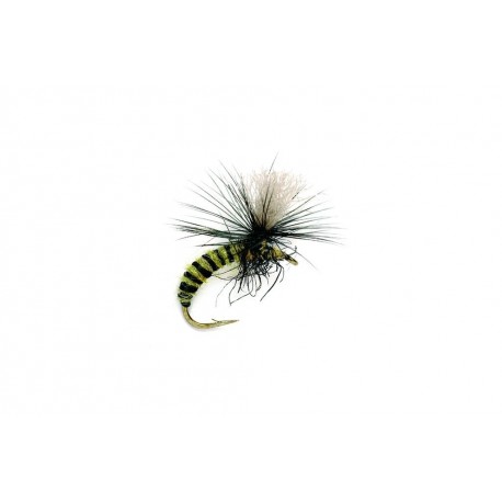 Grannom Pupa Para